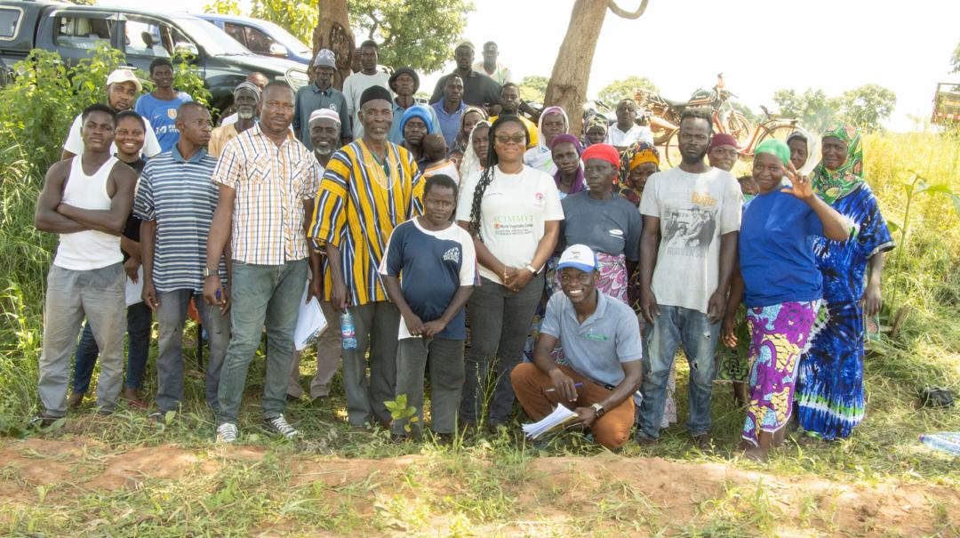 Farmers in Savelugu schooled in Okra Varietal Selection Under VACS Project