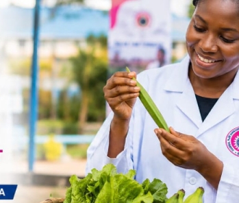 CSIR Champions climate-smart solutions to secure Ghana's food future